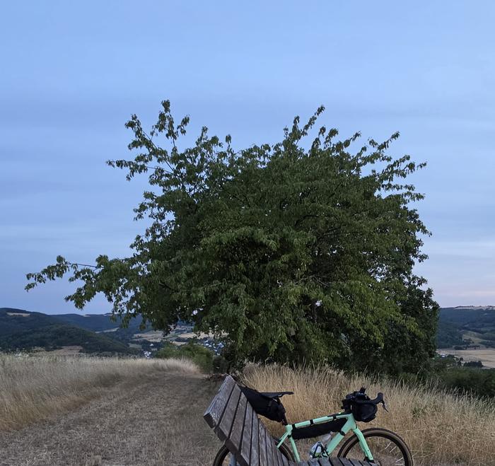 Der Baum neben der Himmelsliege