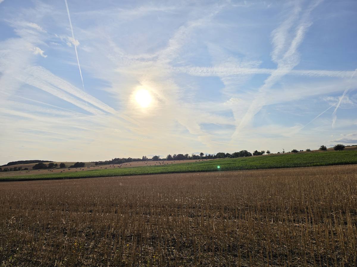 Abendsonne über den Feldern, Heuballen bis zum Waldrand.