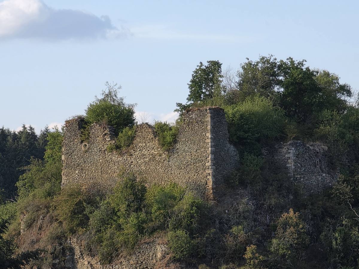 Burgruine Argenschwang im Abendlicht, im Detail.