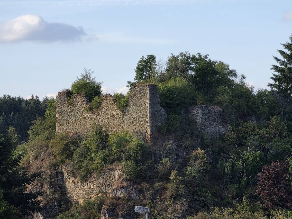 Burgruine Argenschwang, ganze Anlage.