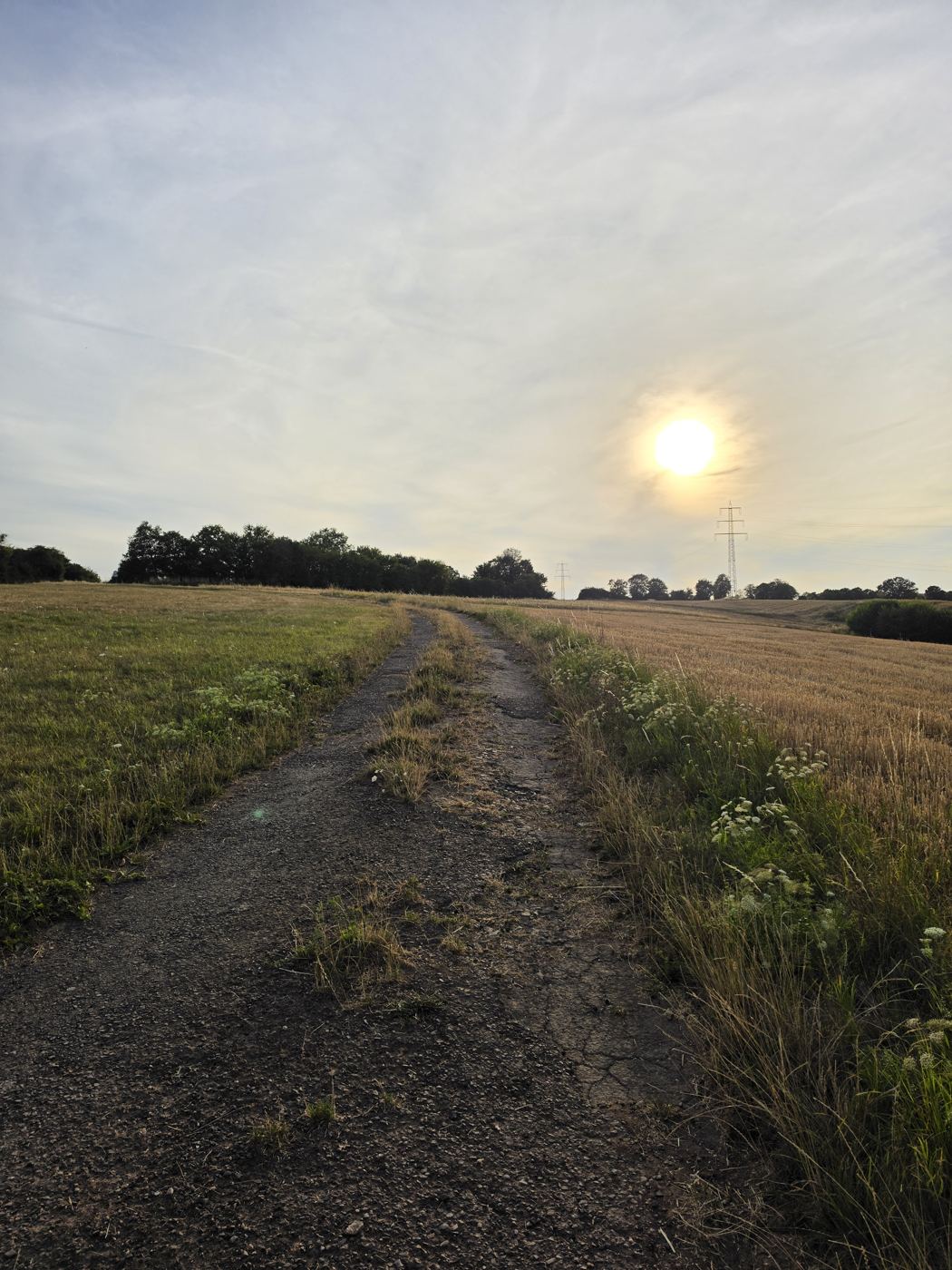 Tiefe Abendsonne über Stoppelfeldern am Feldweg