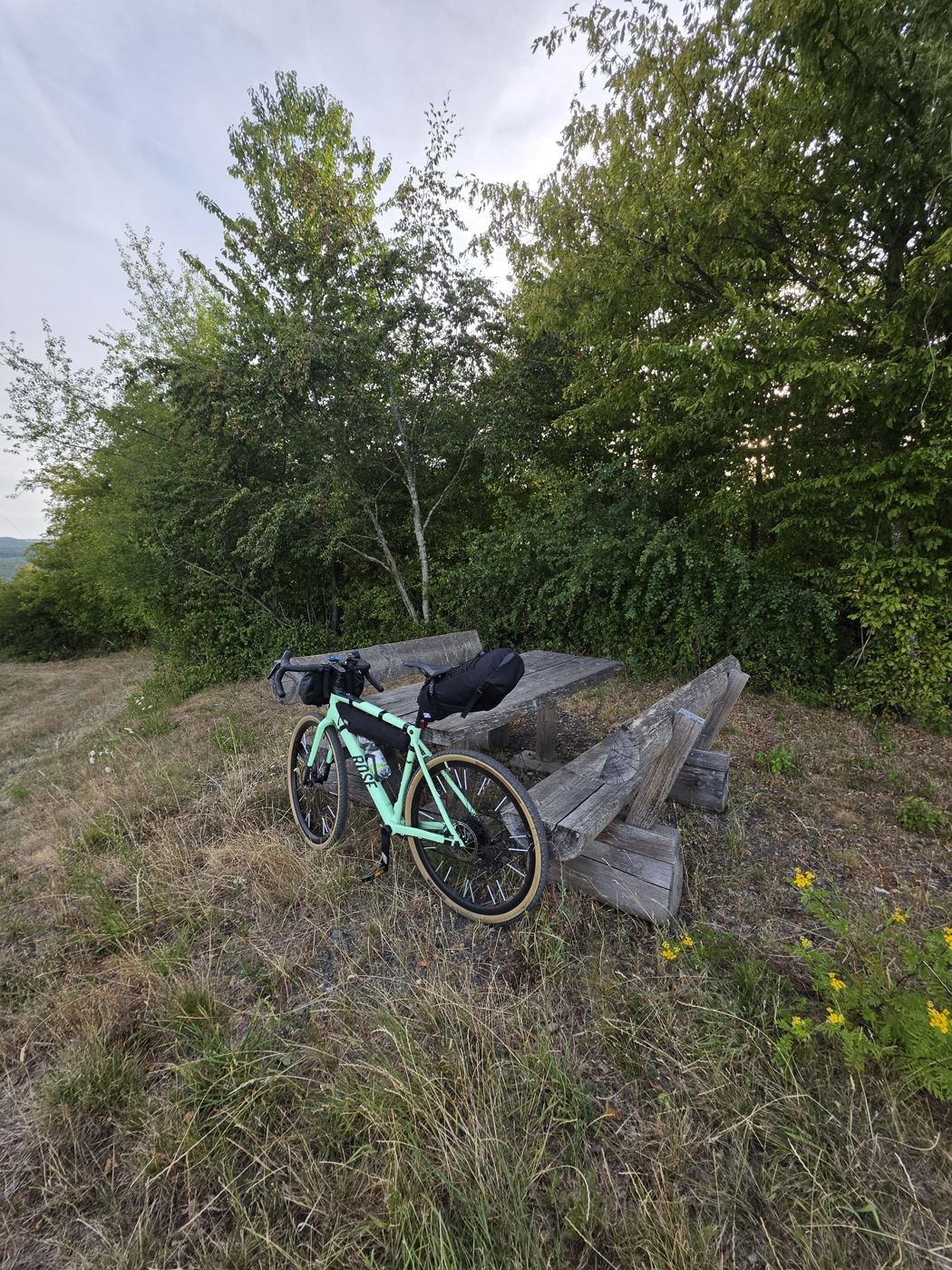 Holz-Sitzgruppe unter einem Baum, das mintgrüne ROSE lehnt an der Bank