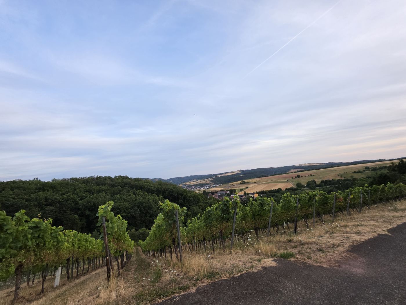 Blick über Rebzeilen ins Tal mit Dorf und Hügeln in der Abenddämmerung