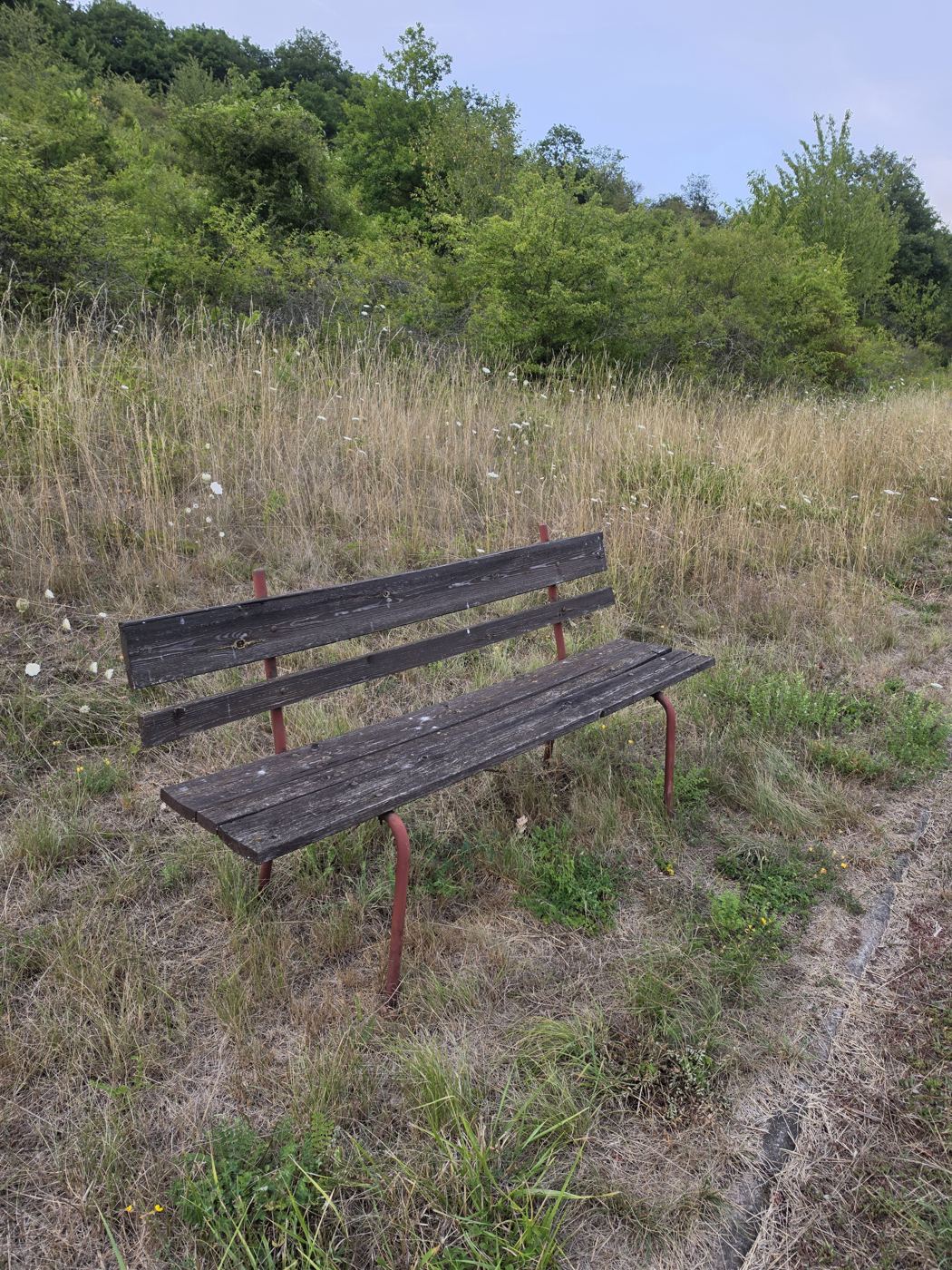 Stark verwitterte Holzbank im hohen Gras