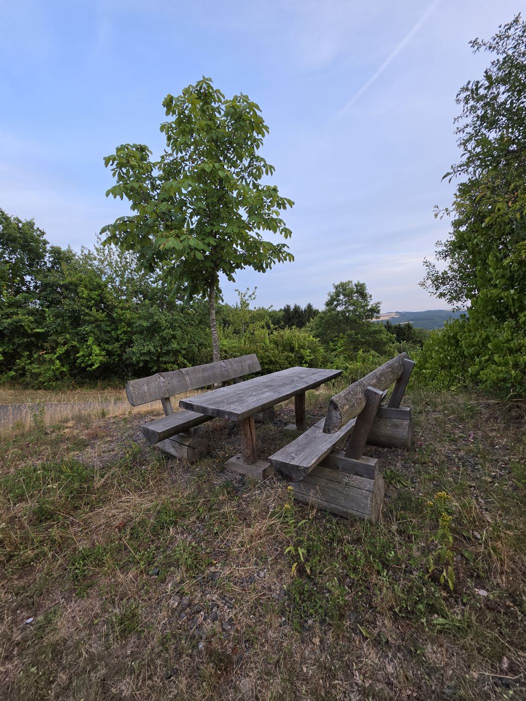 Rustikale Holz-Sitzgruppe mit Rückenlehne und kleinem Baum, dahinter Talblick