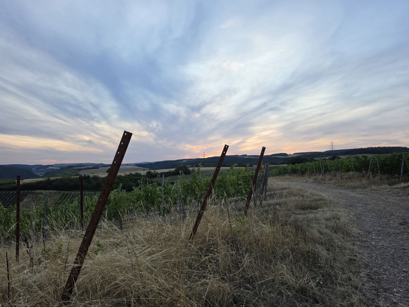 Sonnenuntergang hinter Hügeln, davor Rebzeilen und rostige Zaunpfosten am Schotterweg