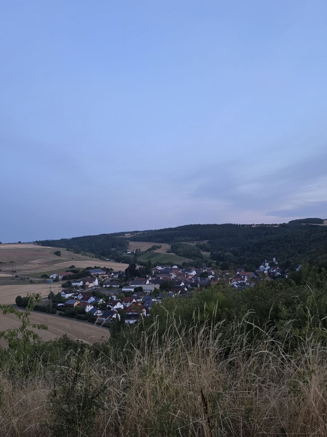 Morgenblick über das Tal mit Dorf und Wäldern im weichen Licht