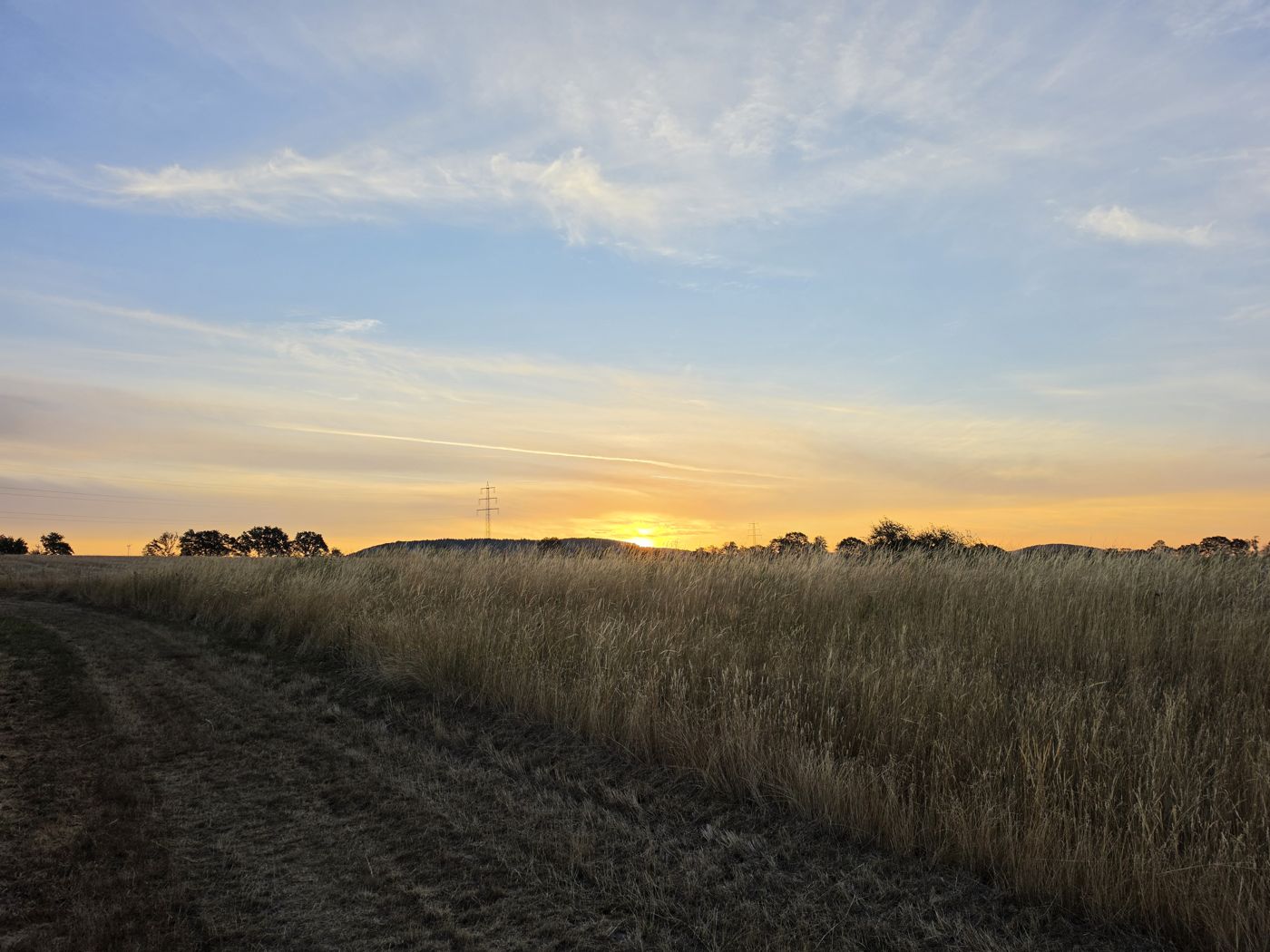 Sonnenaufgang hinter Hügeln, goldenes Gras im Gegenlicht