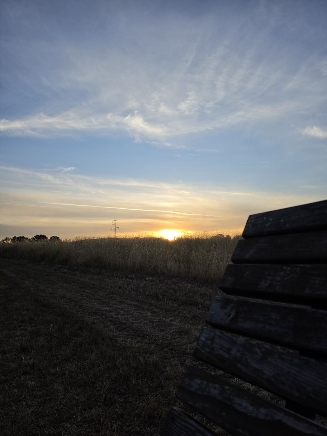 Blick von der Himmelsliege: Holzplanken im Vordergrund, dahinter geht die Sonne über dem Gras auf