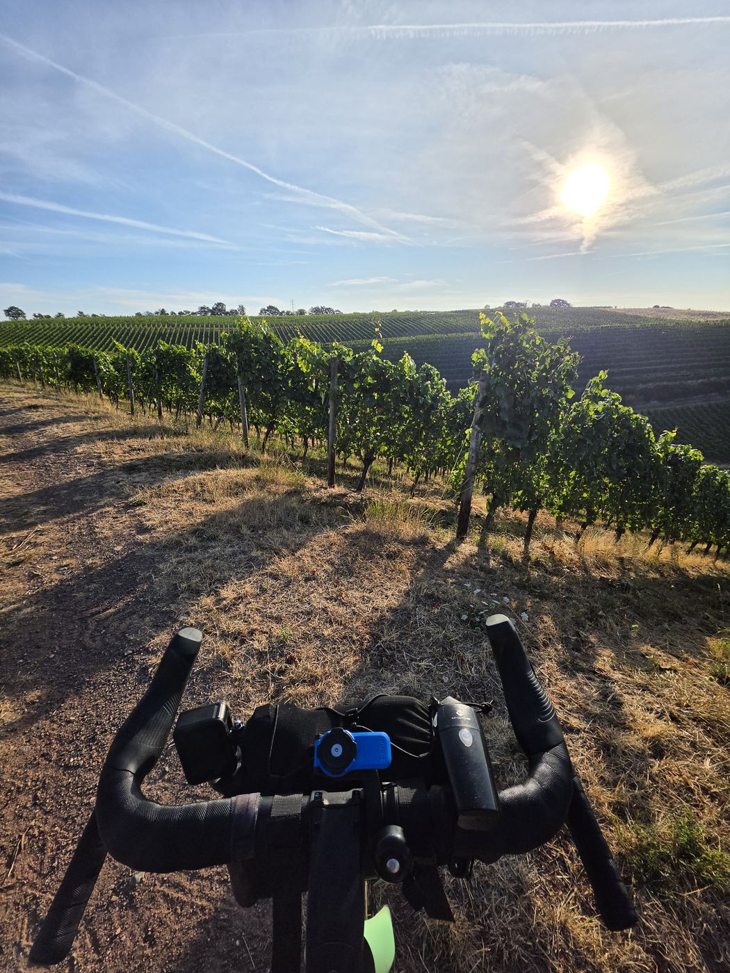 Blick über den Lenker auf den Weinbergweg
