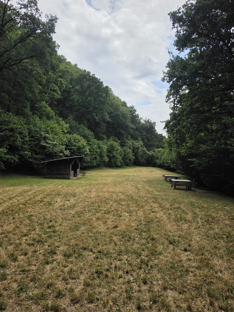 Schutzhütte auf einer Wiese am Waldrand