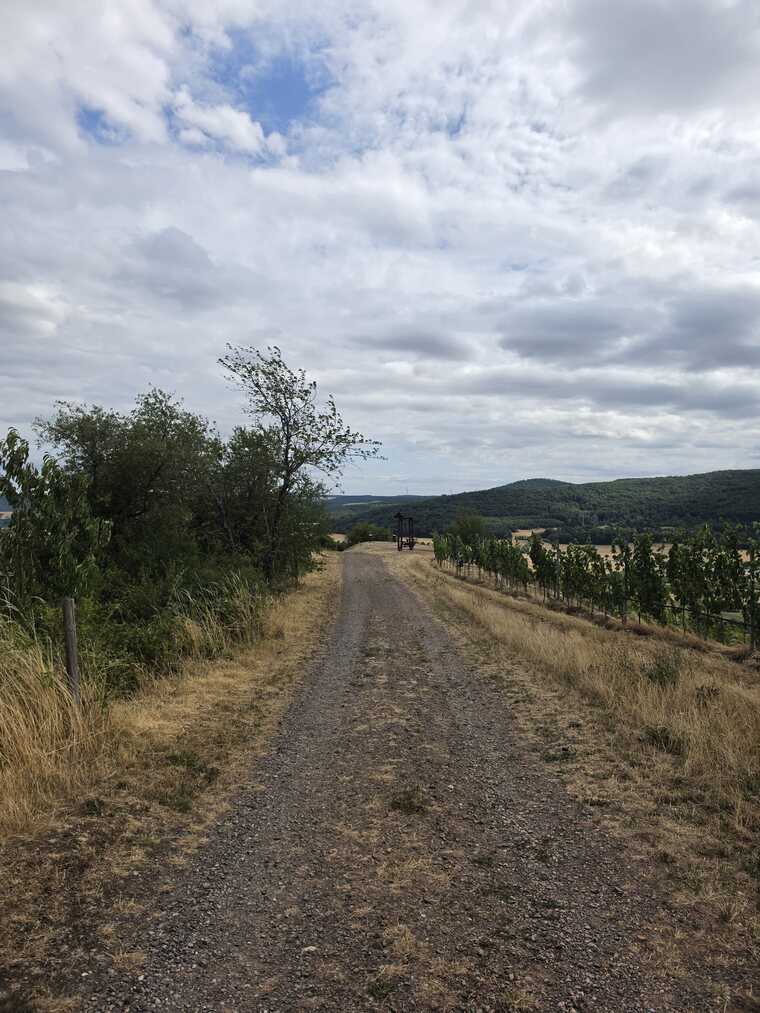 Schotterweg zur Schaukel überm Nahetal, windgepeitschter Baum und Wolkenhimmel