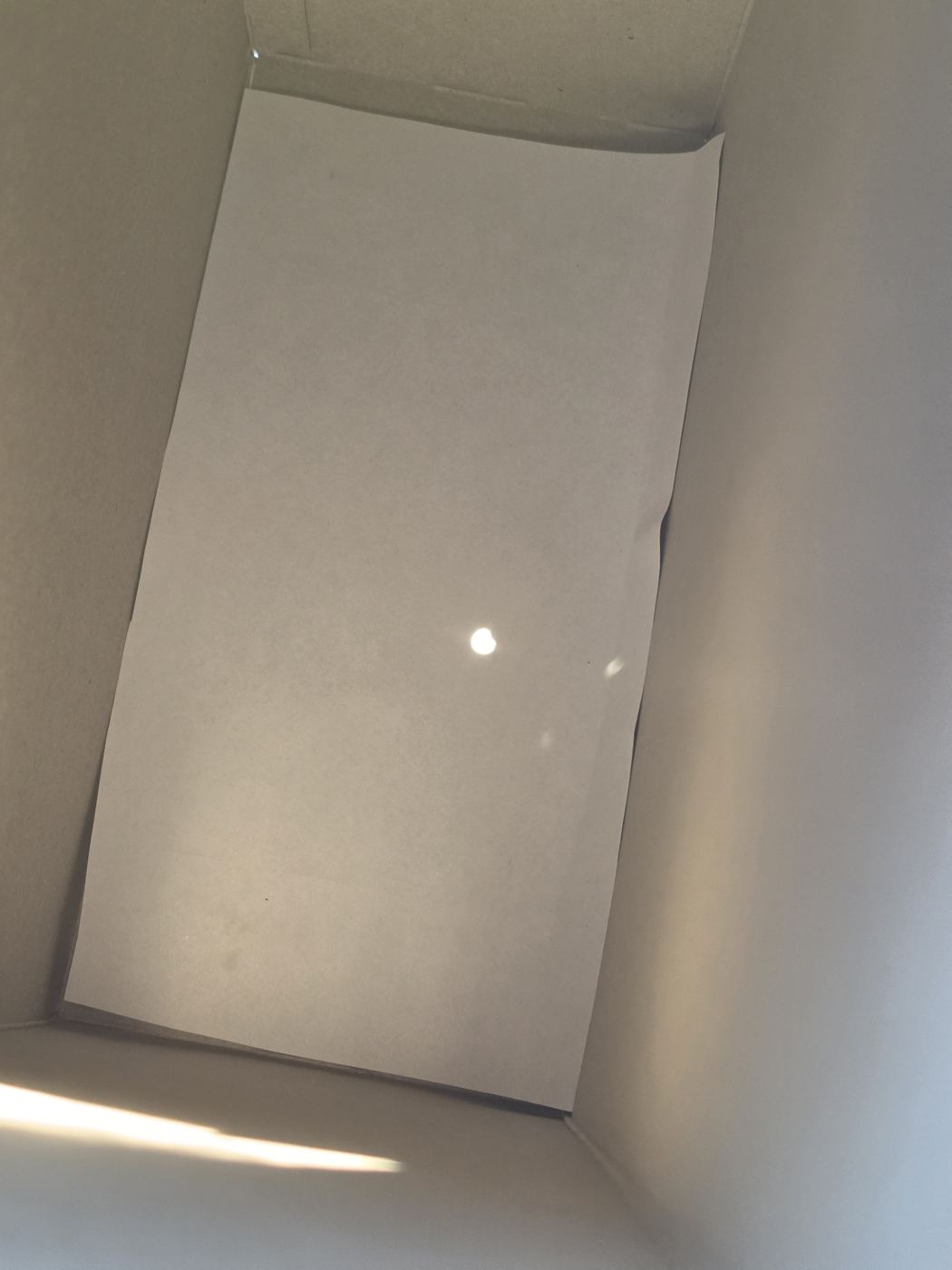 Weißes Blatt im Karton mit dem projizierten Sonnenbild, deutlich sichtbar fehlt oben ein Stück der Scheibe
