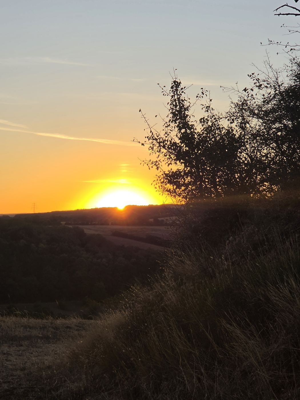 Orange leuchtender Sonnenuntergang hinter einem Höhenzug, davor Baumsilhouette und trockenes Gras am Hang