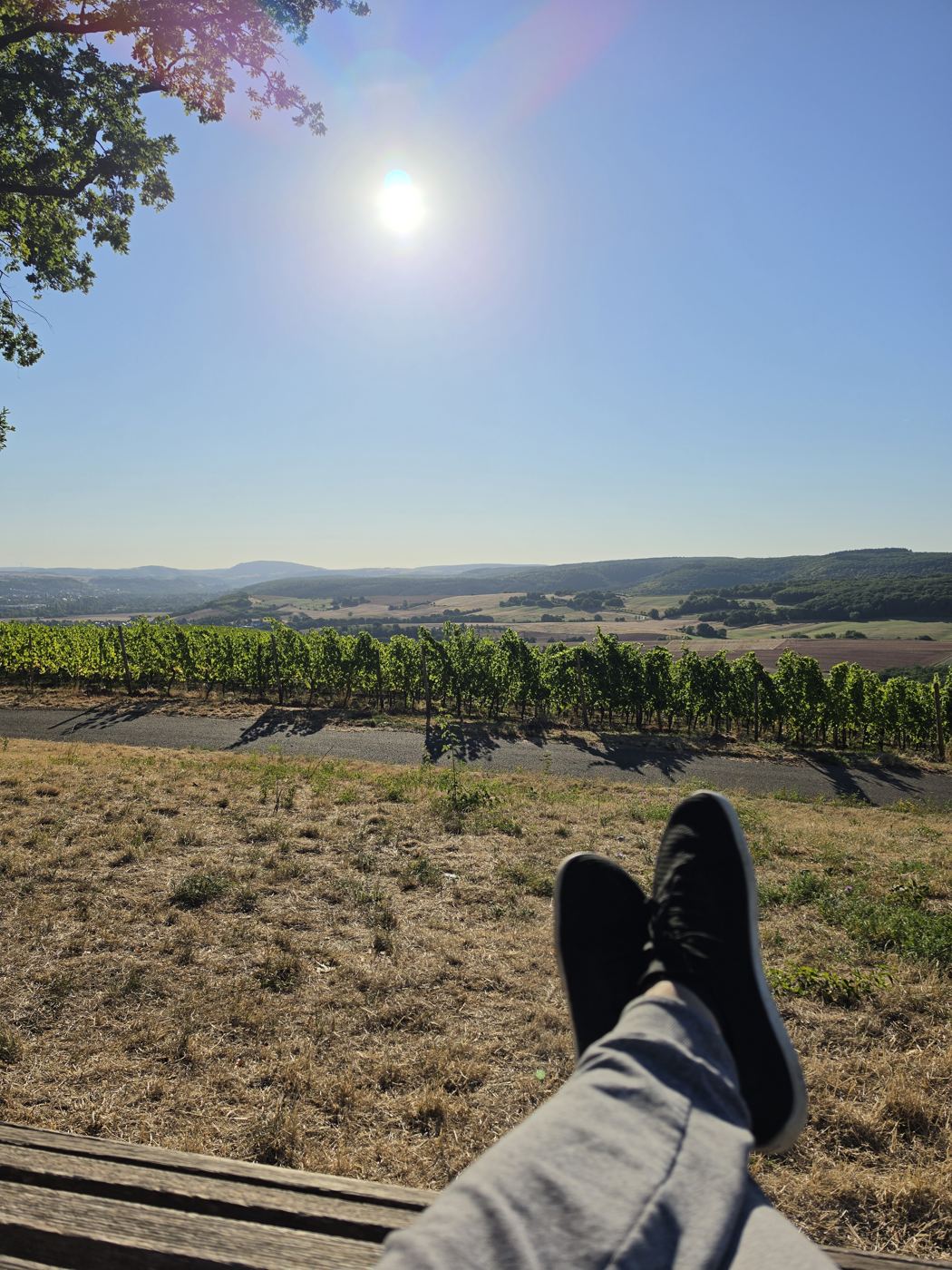 Beine mit schwarzen Schuhen auf der Holzliege ausgestreckt, davor Weinberge und das dunstige Tal in der Morgensonne