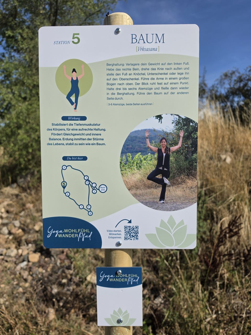 Schild Station 5 Baum des Yoga-Wohlfühl-Wanderpfads am Weinbergrand