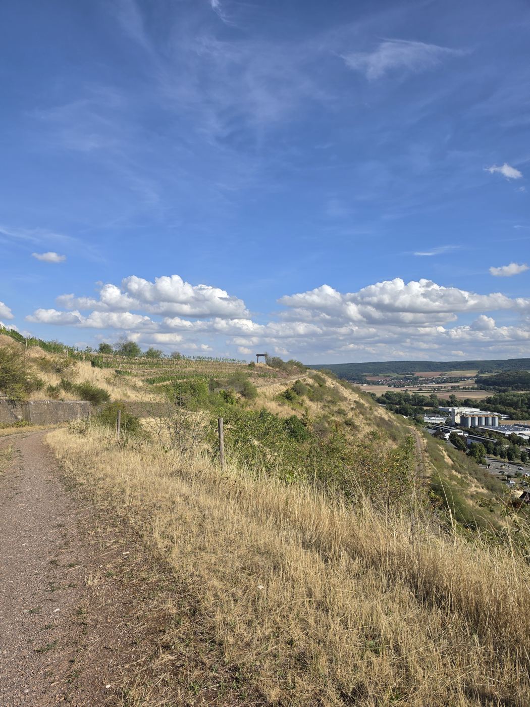 Hangweg mit Blick hinunter ins Nahetal auf Monzingen
