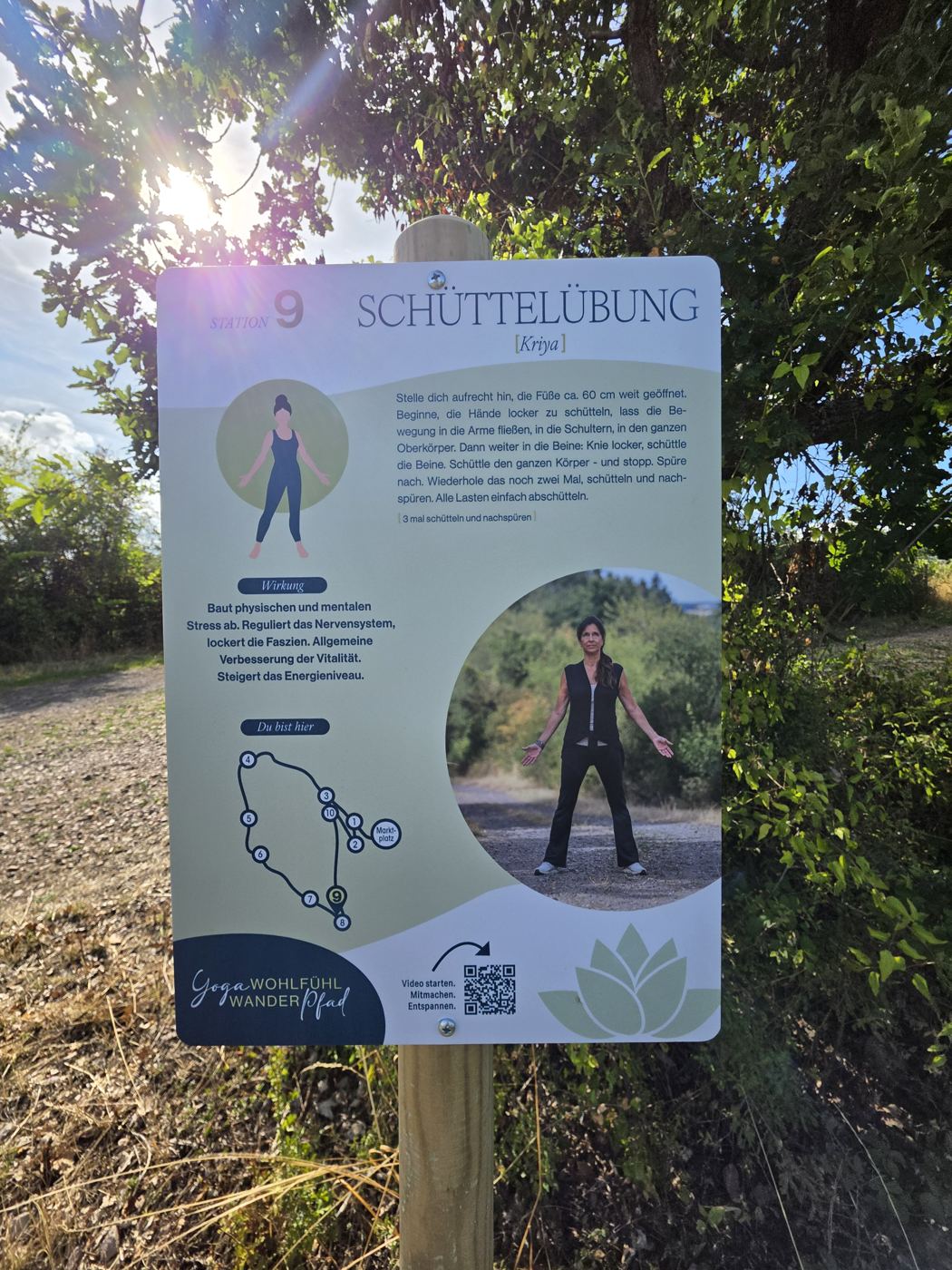 Schild Station 9 Schüttelübung des Yoga-Wohlfühl-Wanderpfads im Gegenlicht unter einer Eiche